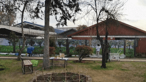Muralismo participativo