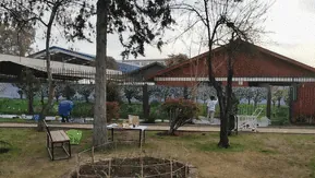 Muralismo y arte urbano
