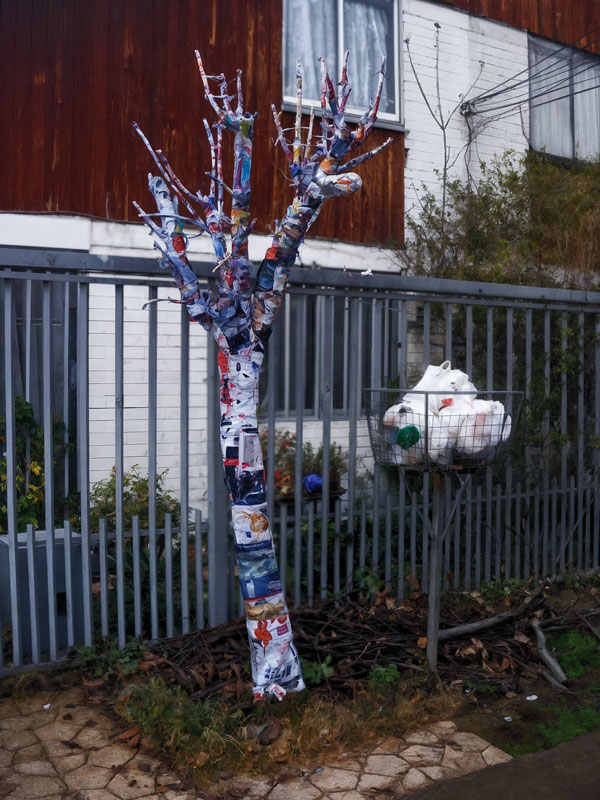 Árbol intervenido en espacio doméstico