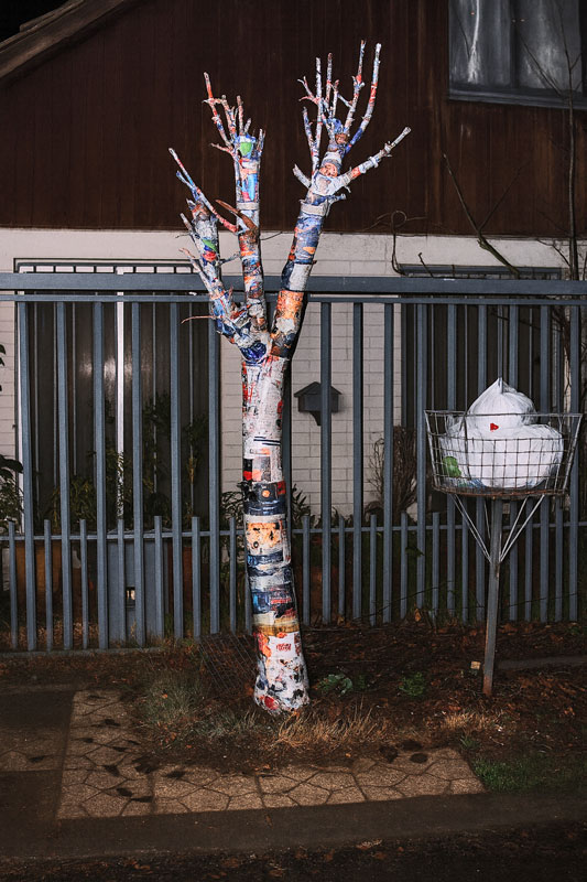 Detalle de árbol intervenido en interior doméstico