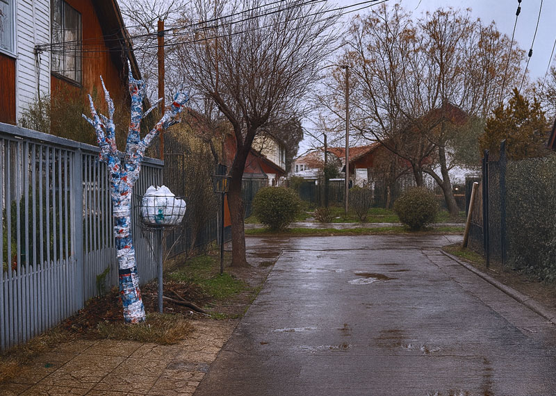 Árbol doméstico intervenido pictóricamente