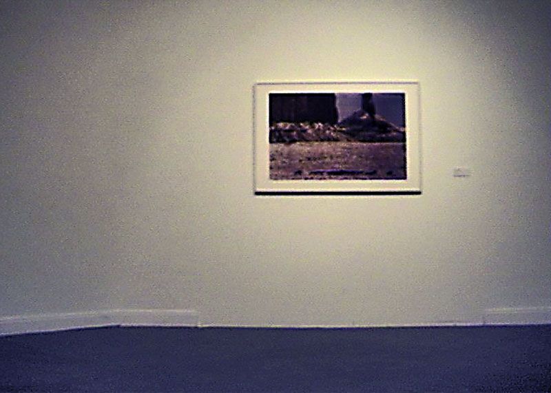 Richard Prince infectado (vista 001), MAC 2009