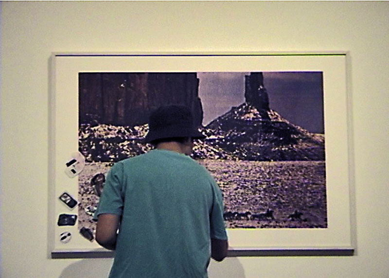 Richard Prince infectado (vista 002), MAC 2009