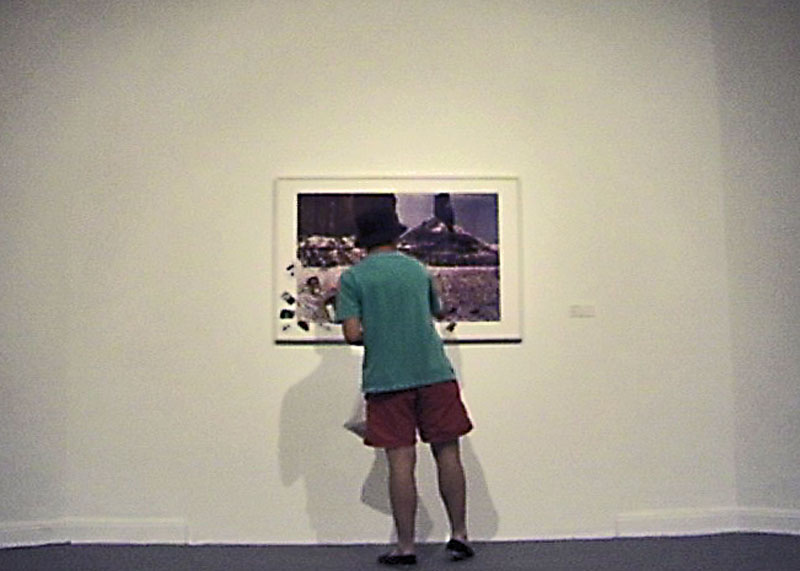 Richard Prince infectado (vista 004), MAC 2009