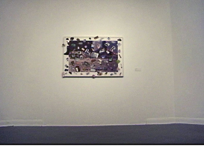 Richard Prince infectado (vista 007), MAC 2009