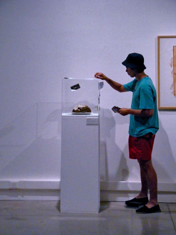 Claes Oldenburg infectado (vista 003), MAC 2009