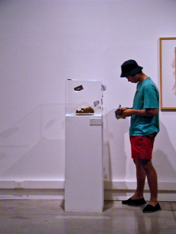 Claes Oldenburg infectado (vista 004), MAC 2009