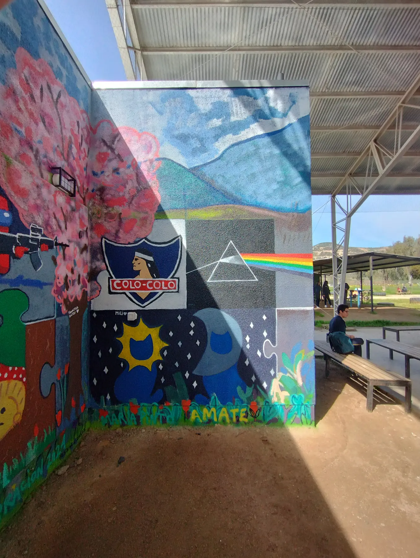Taller de muralismo intensivo en Colegio Maria Pinto - registro 74