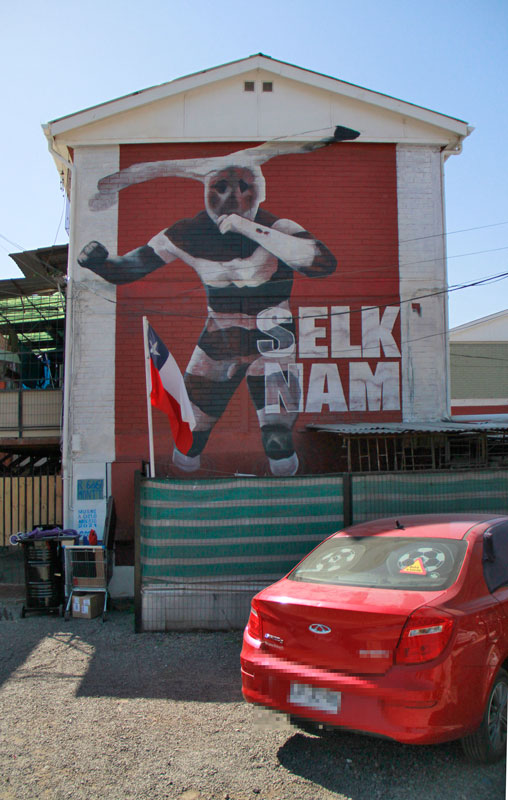 Musoe a Cielo Abierto 4 - Selk'nam (2021), díptico mural