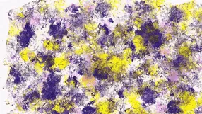 Pareidolic Surfaces and Other Projection Elements