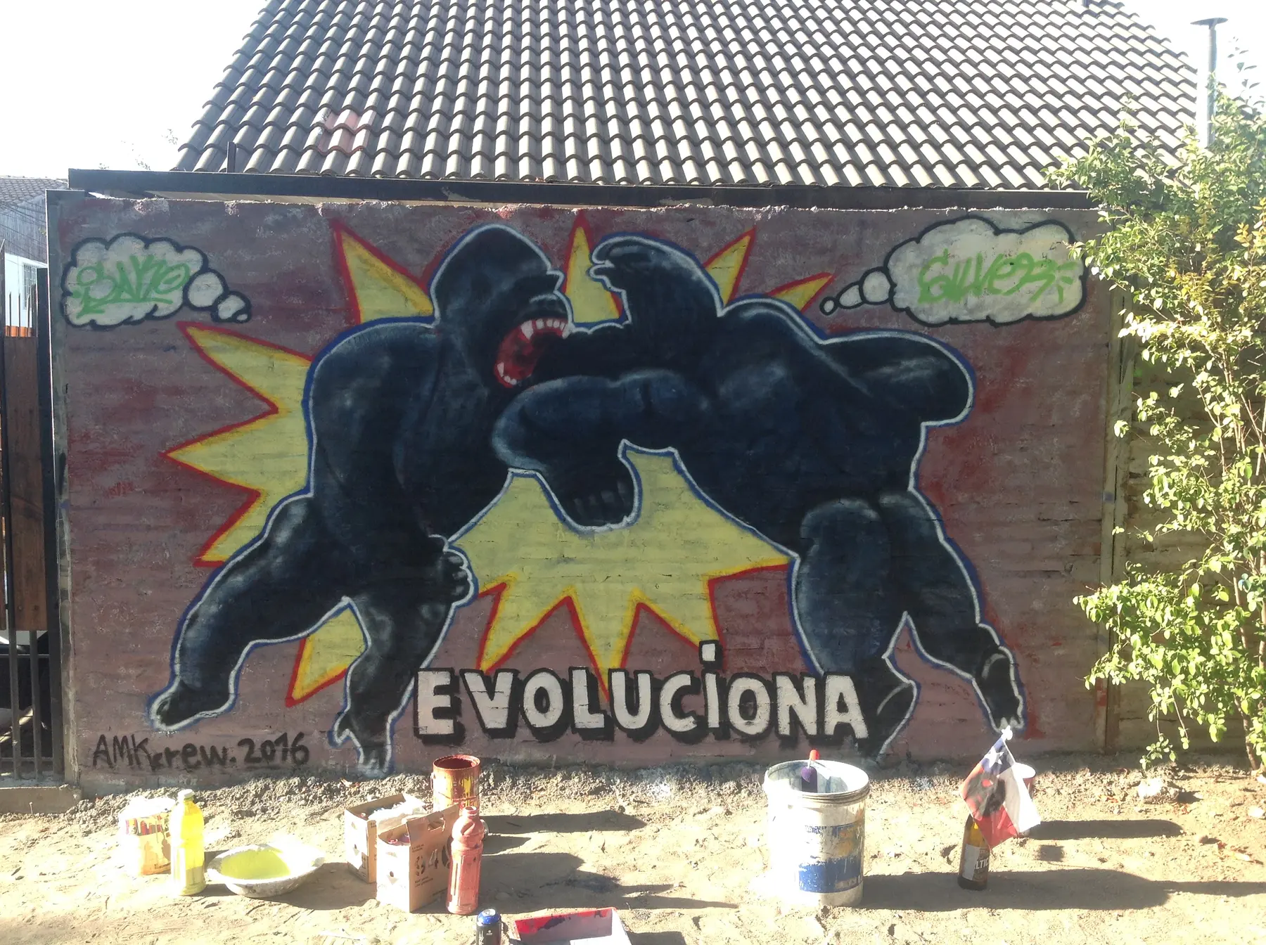 Evoluciona Graff - registro 3