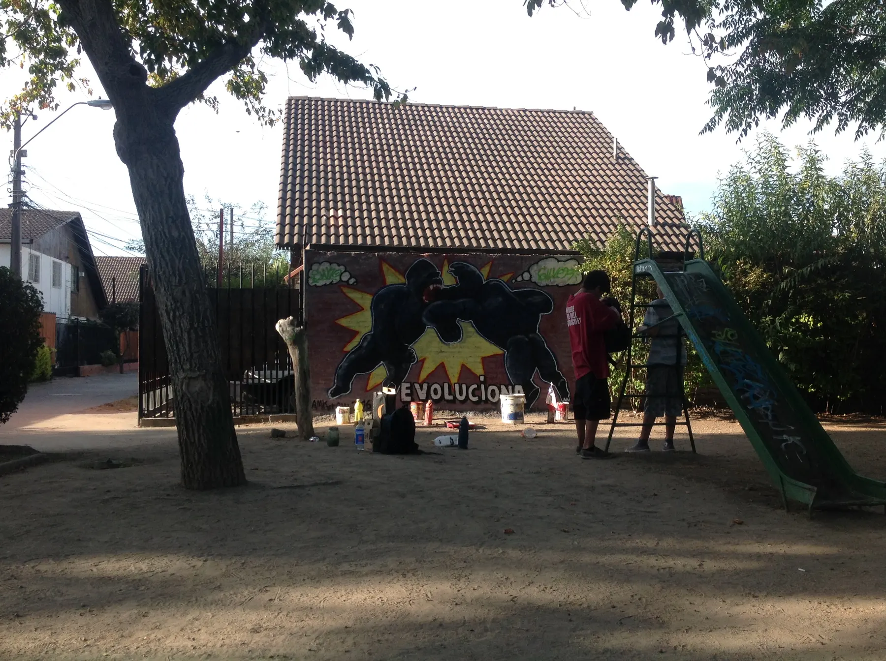 Evoluciona Graff - registro 4