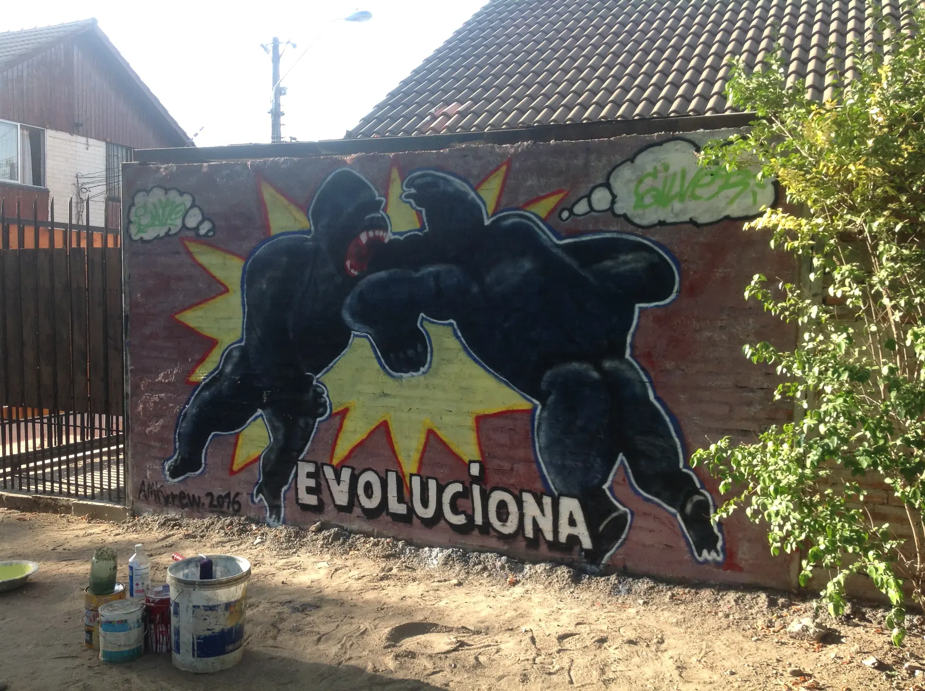 Evoluciona Graff - registro 5