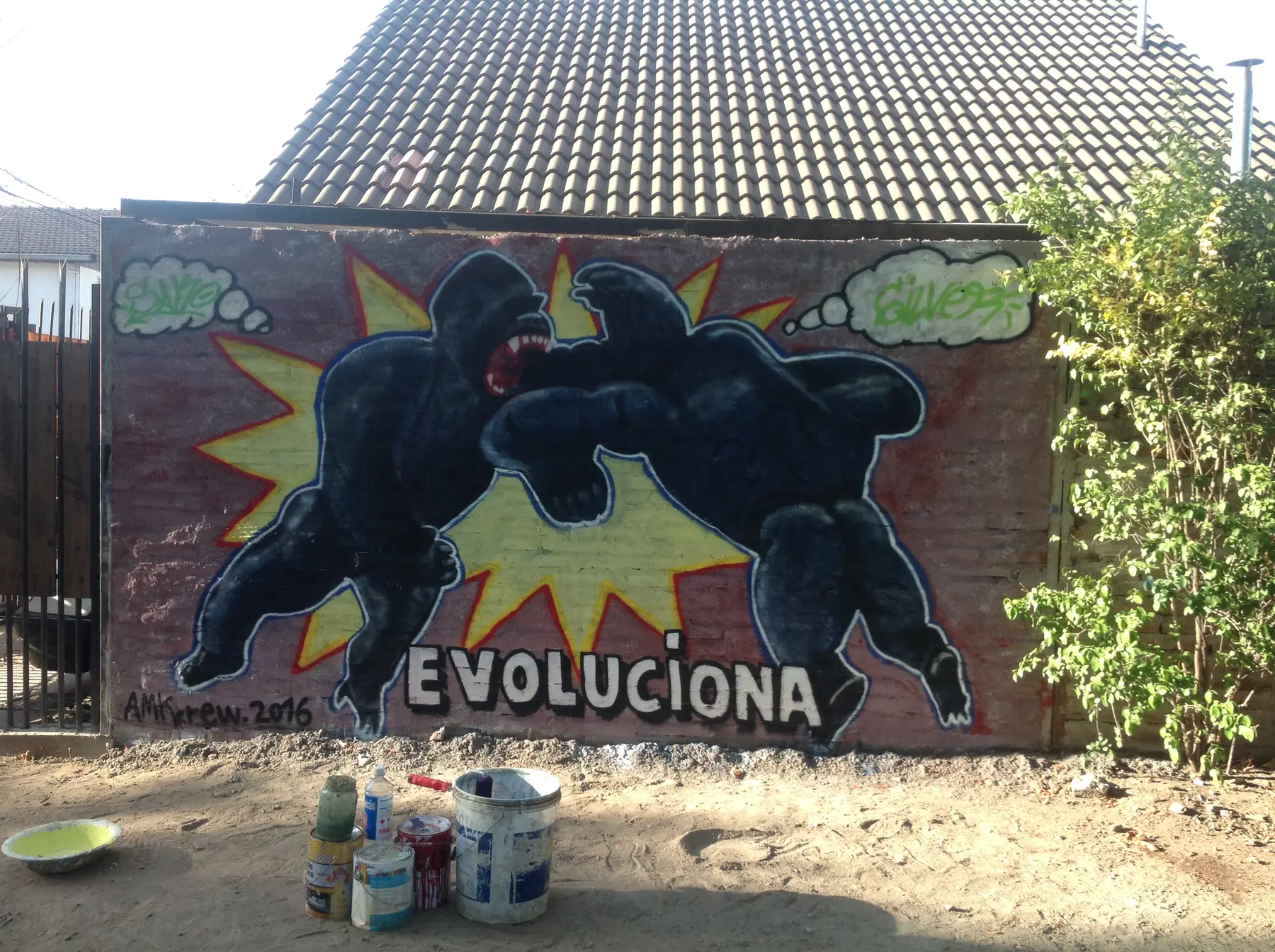 Evoluciona Graff - registro 6