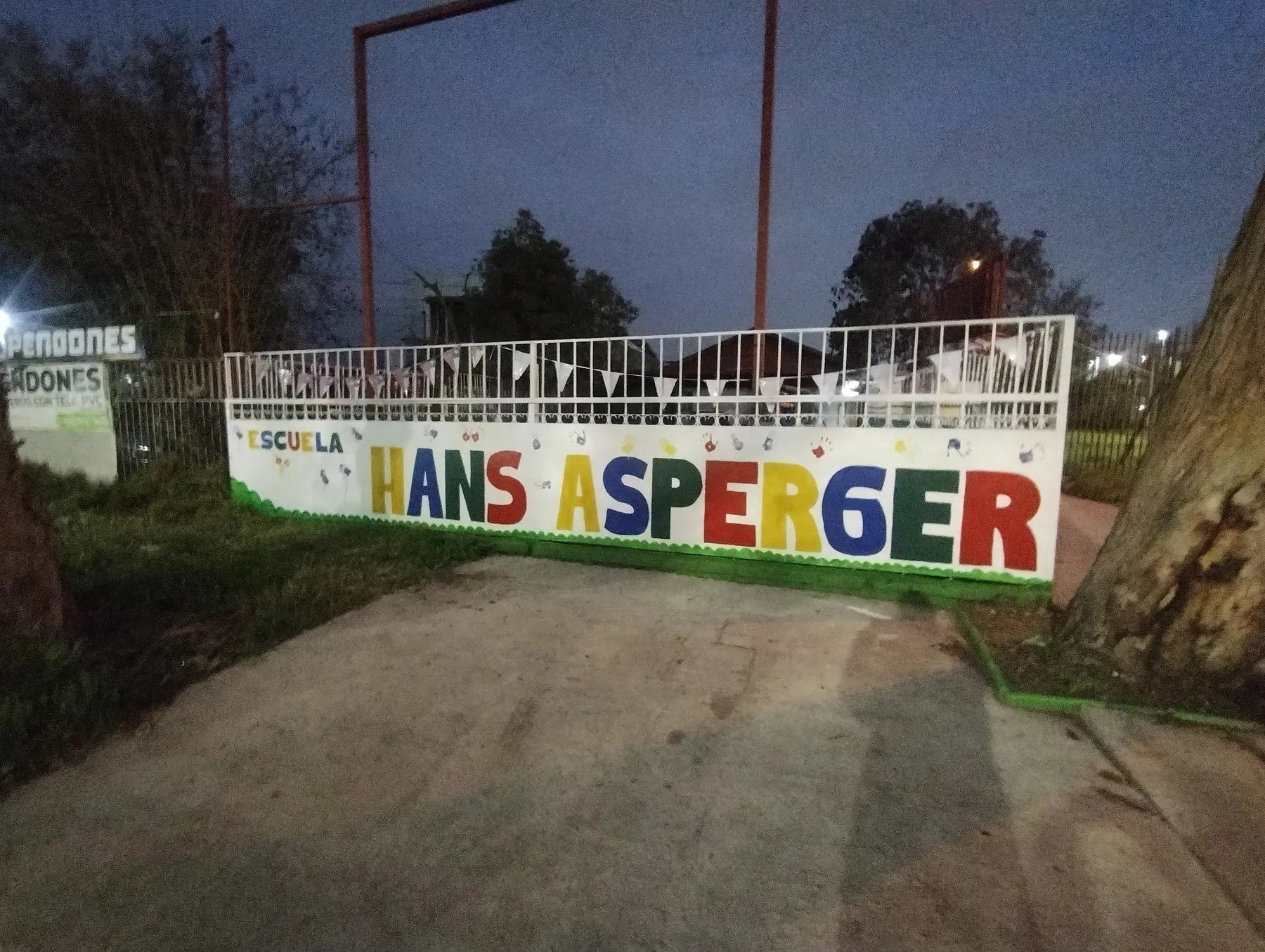 Hans Asperger - registro 100