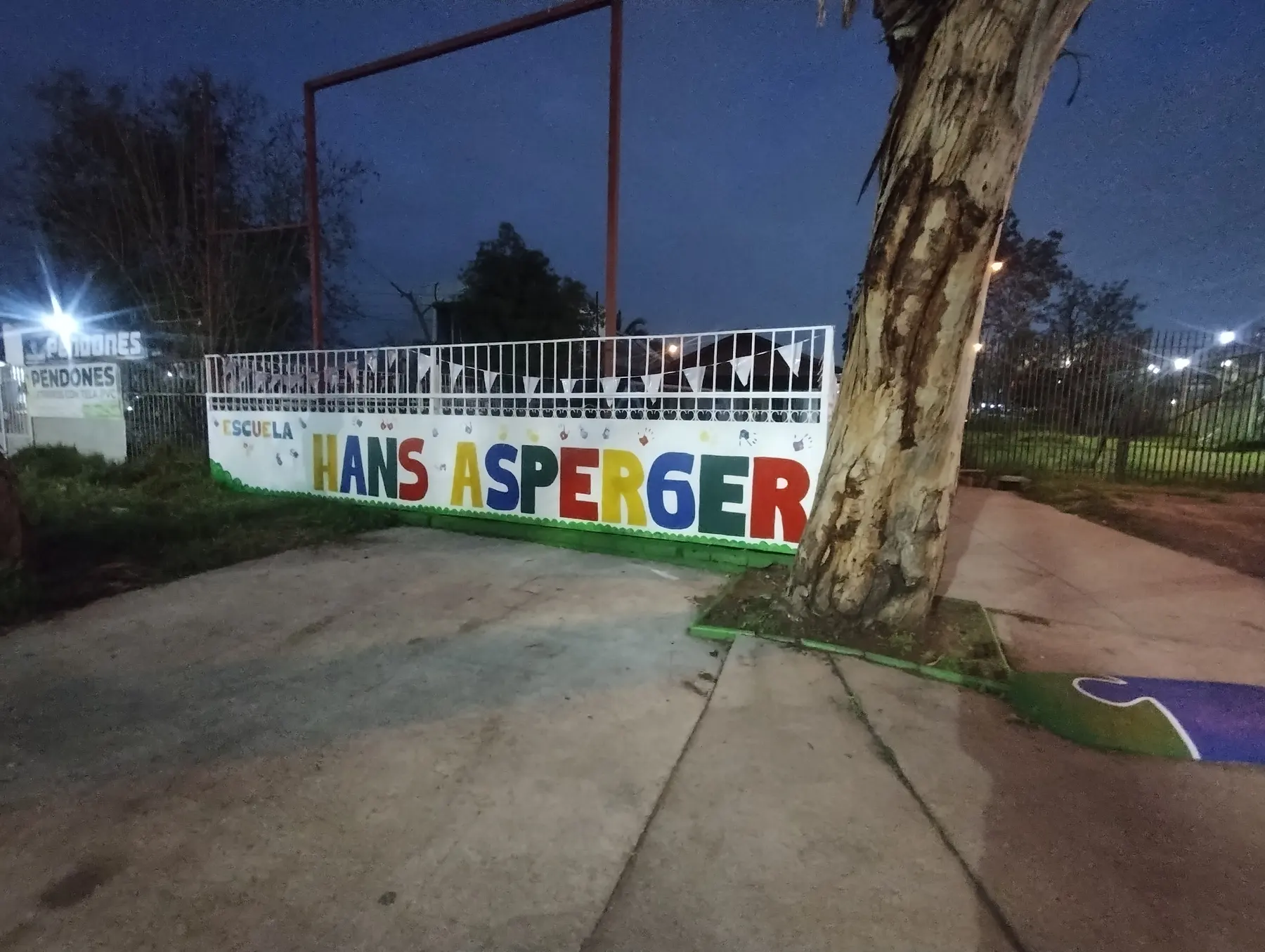 Hans Asperger - registro 108
