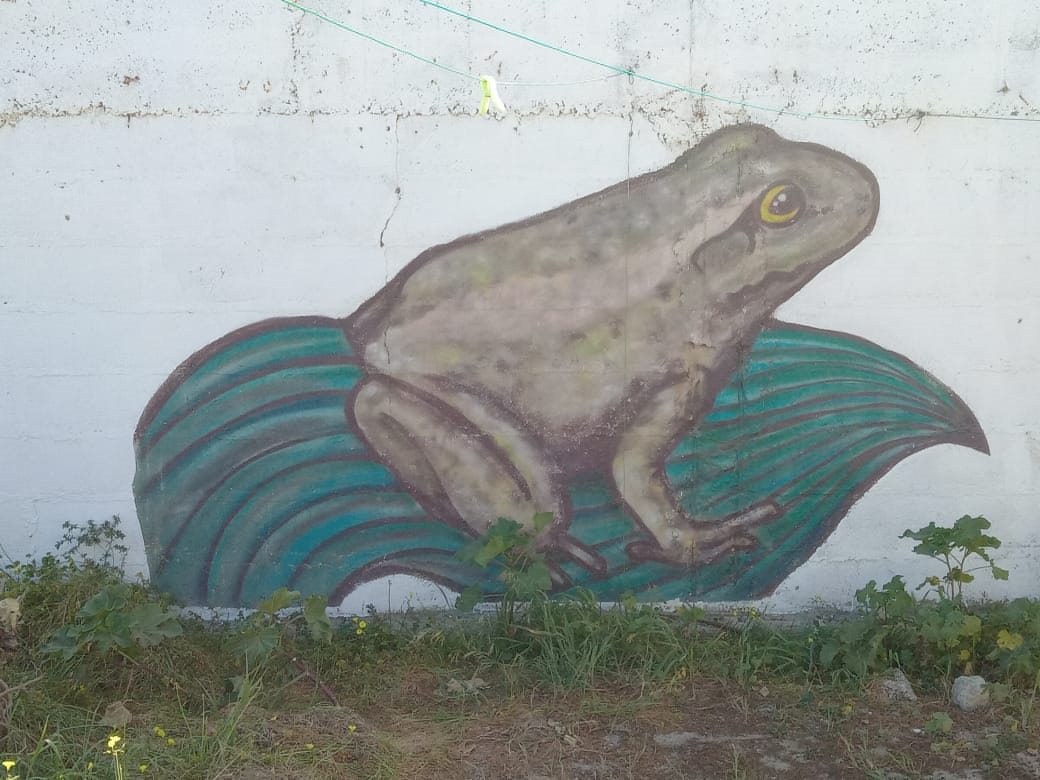 Frog mural intervention