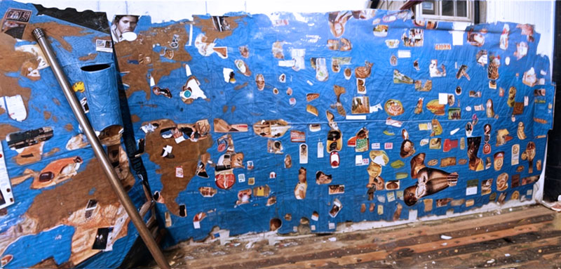 Pinturas Infectadas - Membranas: Mapamundi, 130 x 400 cm, 2009
