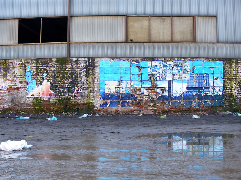 Cordillera – registro, 2009