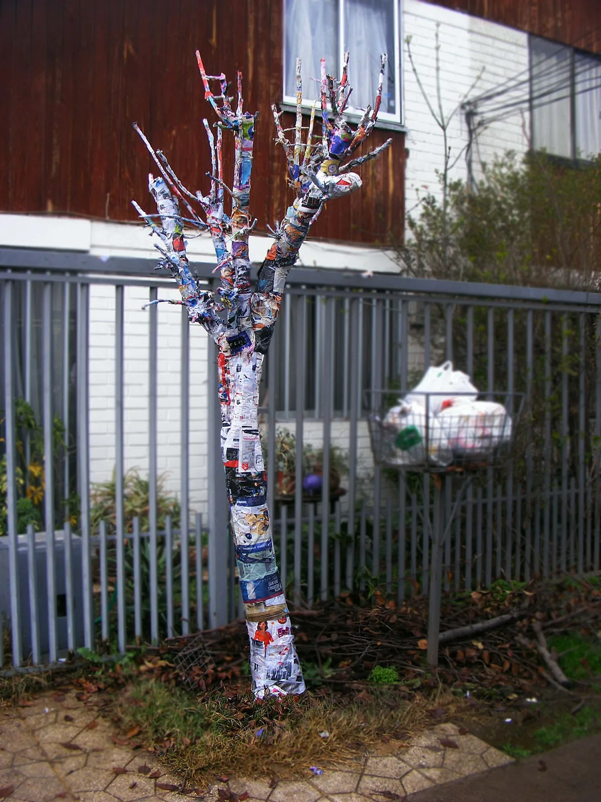 Árbol